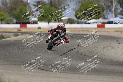 media/Sep-07-2025-Pacific Track Time (Sun) [[a6322260b9]]/A and B Group/Wheelie Bump A and B/